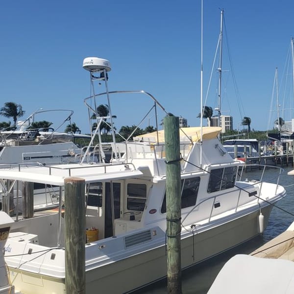 Boats docked at Sauder's Landing Restaurant marina with palm trees and buildings in the background.