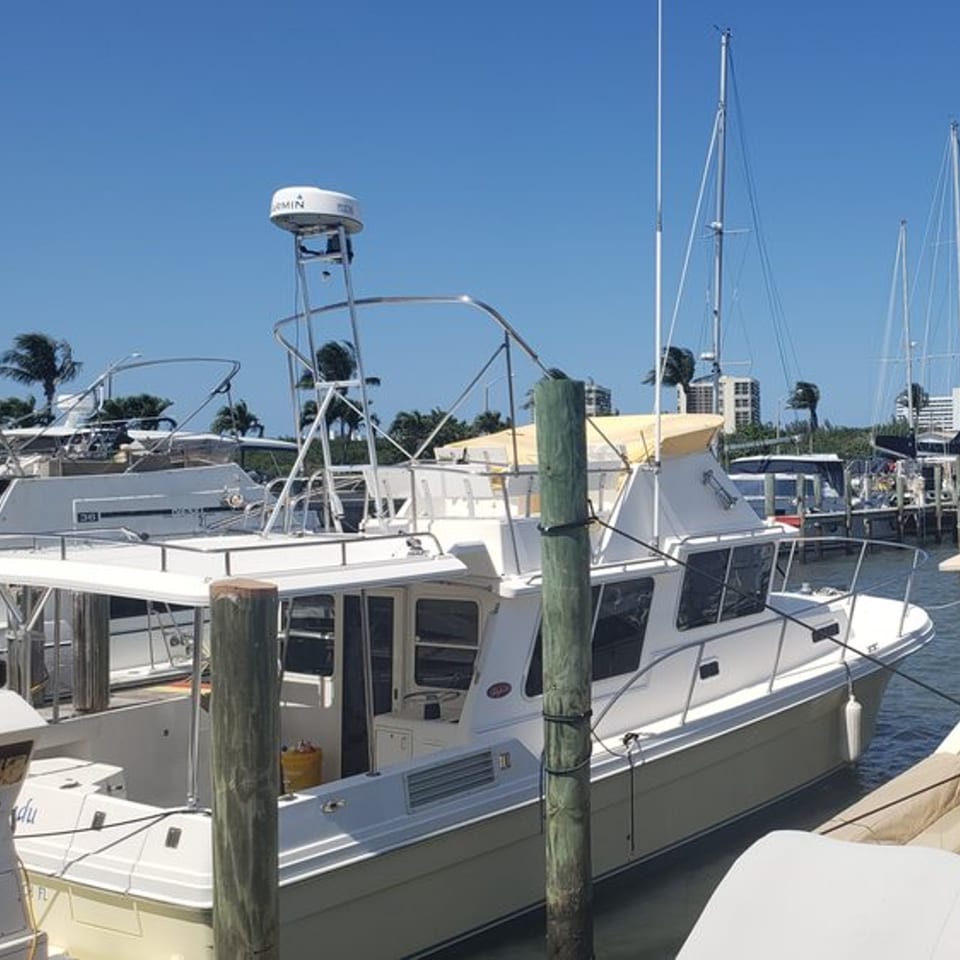 Boats docked at Sauder's Landing Restaurant marina with palm trees and buildings in the background.